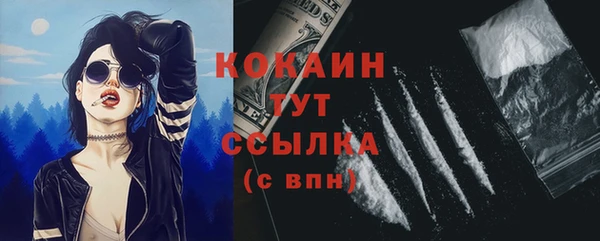 сатива Армянск