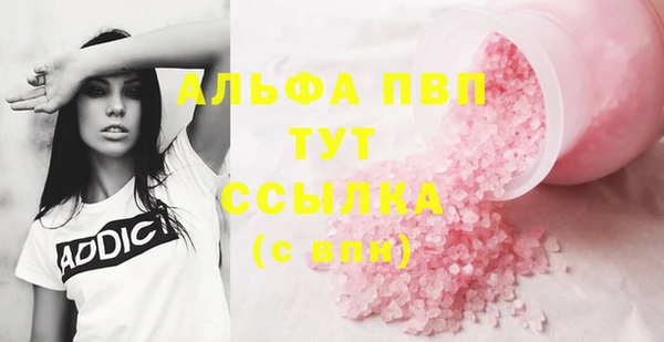 сатива Армянск