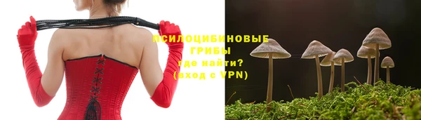 ALPHA-PVP Аркадак