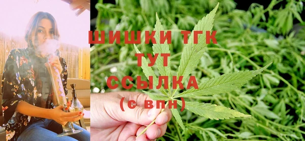 сатива Армянск