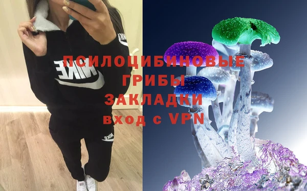 ALPHA-PVP Аркадак